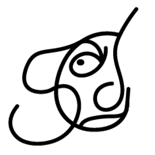 Logo Icono — Sandra Cartellone